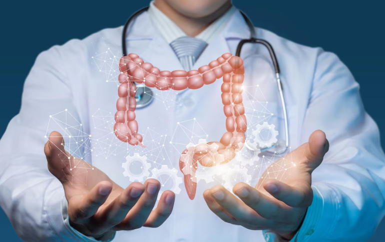Fellowship in Gastroenterology